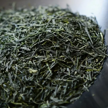 堀井七茗園-玉露-宇治玉露-鳳の露-高級玉露