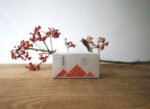 【蜜香紅茶】花蓮瑞穗